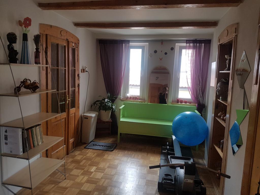 Apartman Pod Svatou Horou Příbram Zewnętrze zdjęcie
